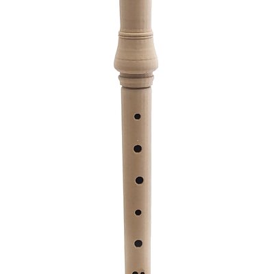 The Recorder Flute
