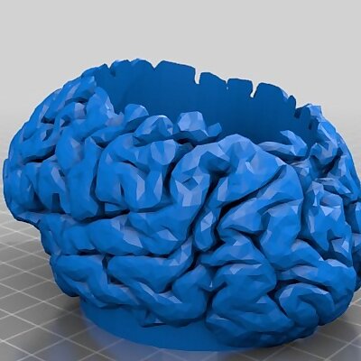 Brain Bowl