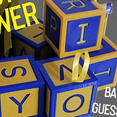Baby Shower Names Guessing Game Cubes