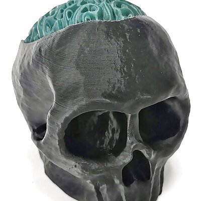 Skull with Brain  Candy Hiding Place