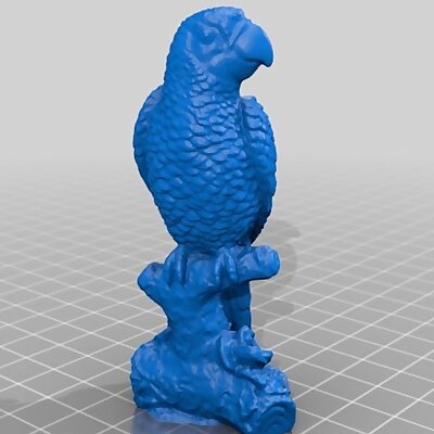 Macaw parrot  3D Scan