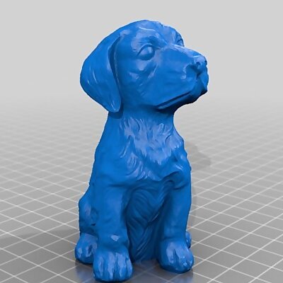 Sitting Dog  3D Scan