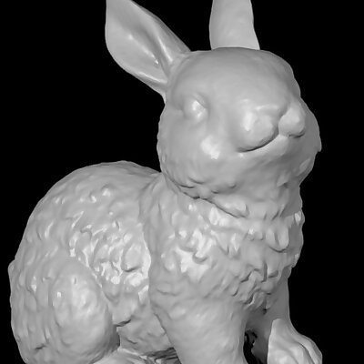 Cute Bunny  3D Scan