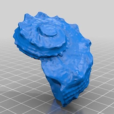 Sea Shell  3D Scan