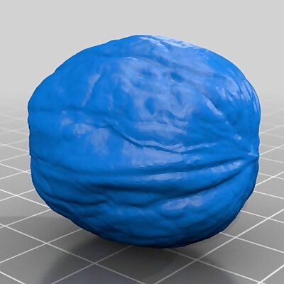 Walnut  3D Scan