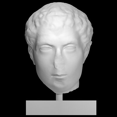 Portrait of a Roman man