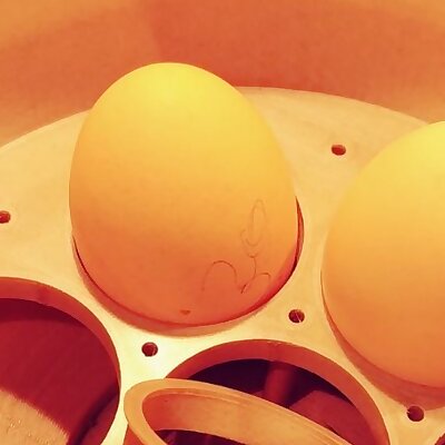 Eggsbox