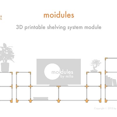 Moidules  Create your own custom made shelving system at home!
