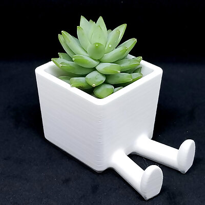 Succulent Planter  3D printed planter  Legged Planter