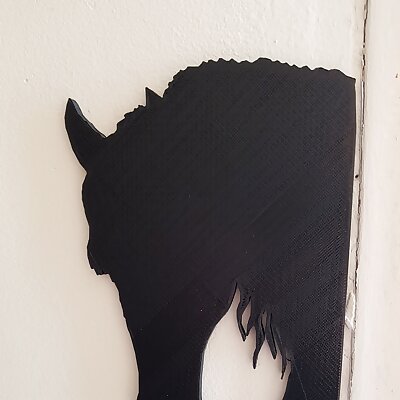shadow of a horse and a dog