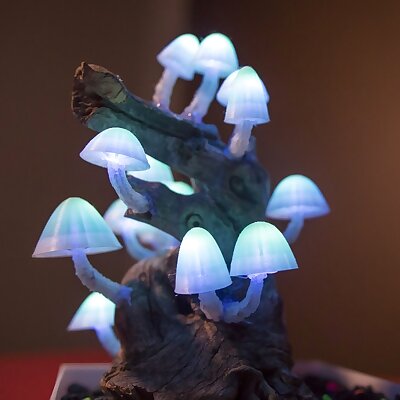 Mushroom Caps for Glowing Mushroom Light
