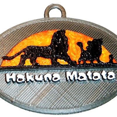 Hakuna Matata  Lion King Keychain