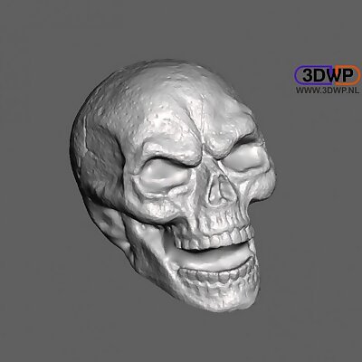Skull Sculpture 3D Scan Including Hollow Version