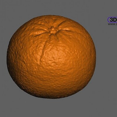 Orange 3D Scan