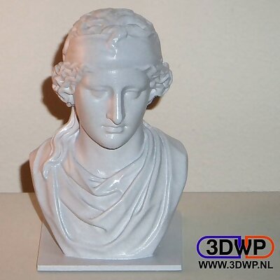 Aphrodite Bust Sculpture 3D Scan