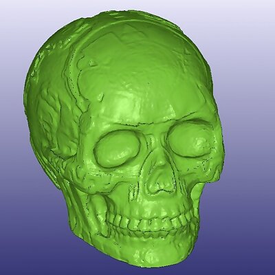 Mayan Skull 3D Scan Hollow