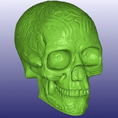 Celtic Skull 3D Scan Hollow