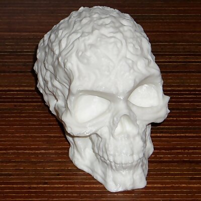 Spook Skull 3D Scan Hollow