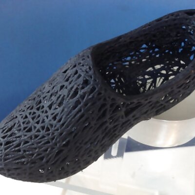 Wooden Shoe Voronoi Style