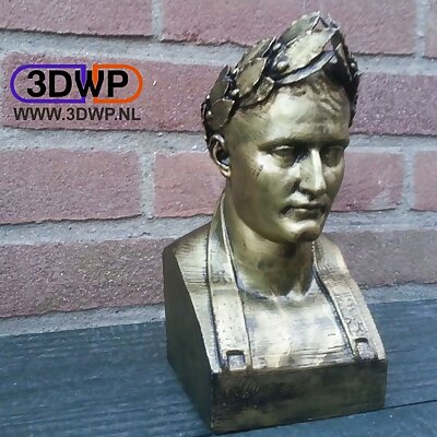 Napoleon Bust 3D Scan