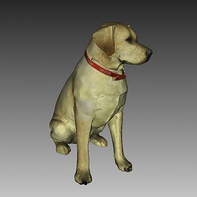 Labrador Sculpture Dog Statue Color 3D Scan