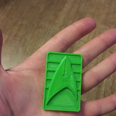 Star Trek discovery senior cadet badge