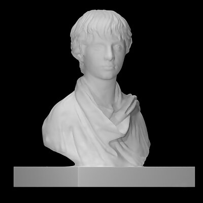 Bust of Polydeukes