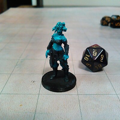 Gorgon for your Tabletop Game!