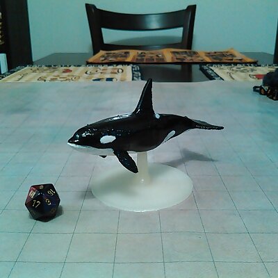 Killer Whale for Tabletop Gaming