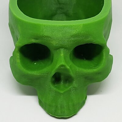 skull plant pot