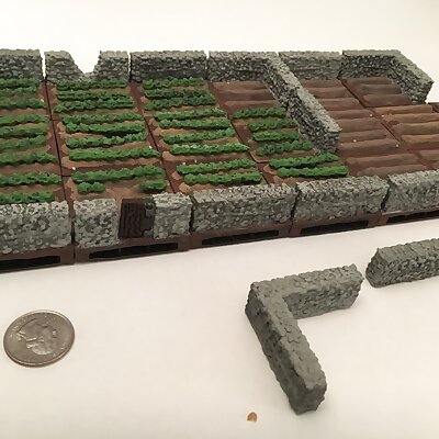 Lettuce and Unplanted Fields with Stone Walls