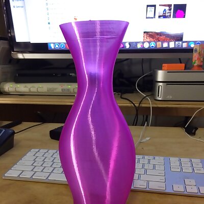 Twisted Ellipse Vase 2