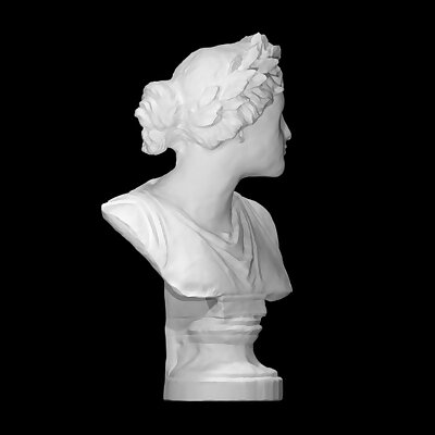 Bust of a Viktoria