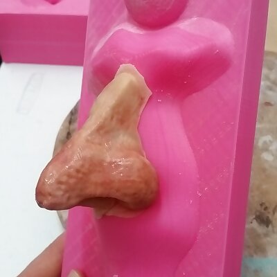 Prosthetic Nose  Makeup appliance