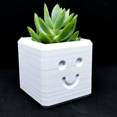 Happy Planter  3D printed planter