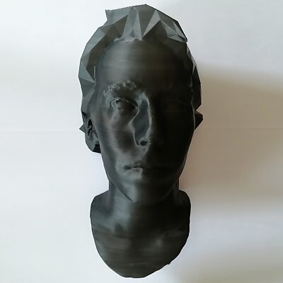 bust of a woman with low poly hair