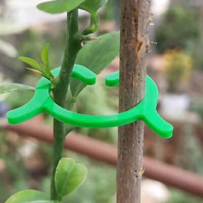 Clips for plants