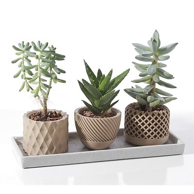 Modern geometric Succulent plant pot