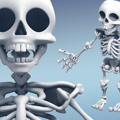 Skeleton Snaps together and moveable