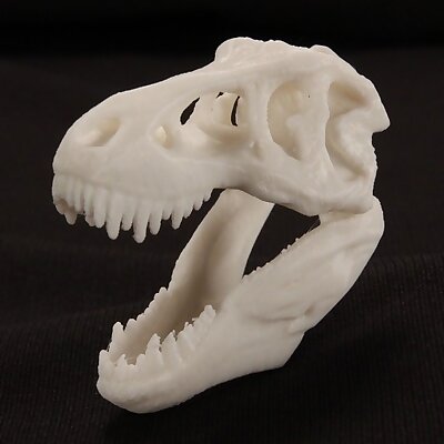 MakerBot Pocket TRex Skull