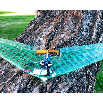 Micro Flying Wing for V911F949 receiver bricks