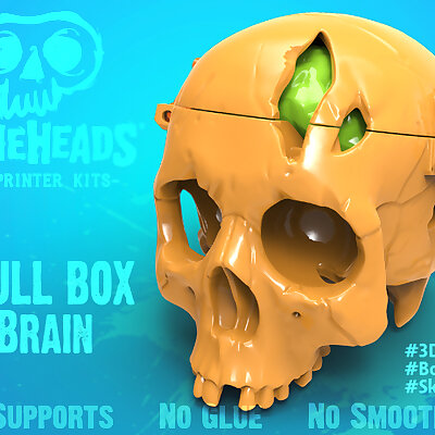 Boneheads Skull Box w Brain  via 3DKitbashcom