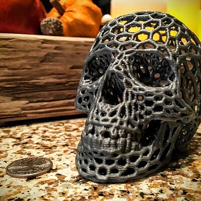 Skull Voronoi style