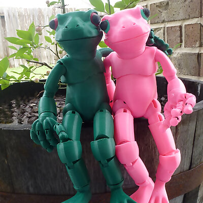 Froggy the 3D printed balljointed frog doll