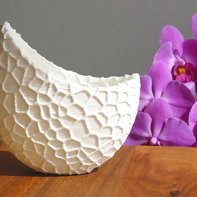 Organic flower pot  Voronoi Vase