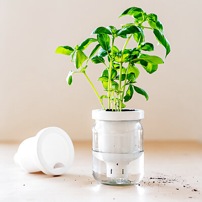 Jargar  SelfWatering Planter in a jar