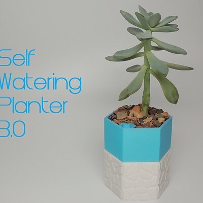 Selfwatering Planter 3