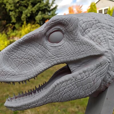 Velociraptor Head For Wall Large