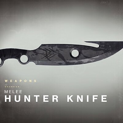 Destiny Hunters Knife
