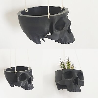 Skull Bowl Remix into Skull Hanging Planter  Pot